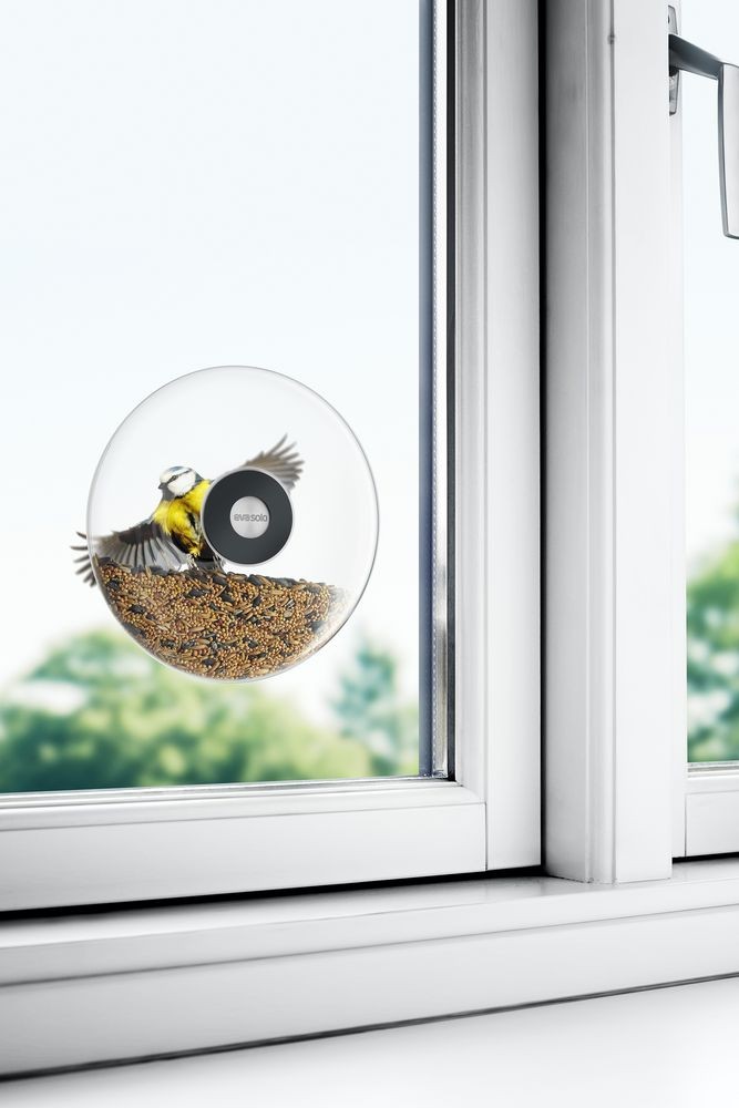 Кормушка для птиц Window Bird Feeder, прозрачная, большая